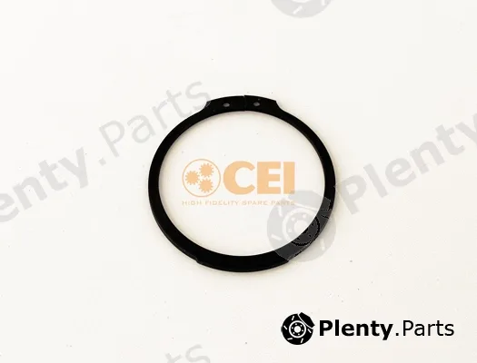 C.E.I. 111.269 — Circlip
