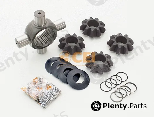 C.E.I. 198.999 — Repair Kit, differential