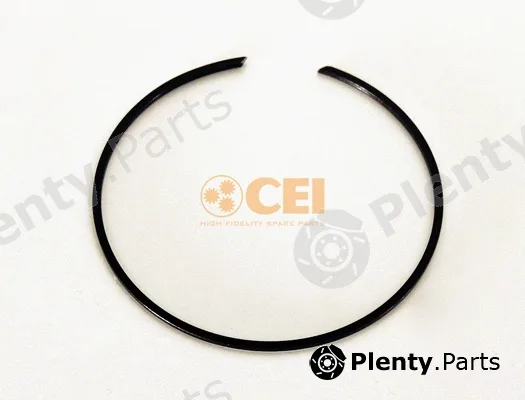 C.E.I. 111.213 — Circlip