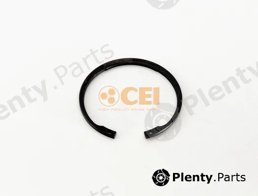 C.E.I. 111.525 — Circlip