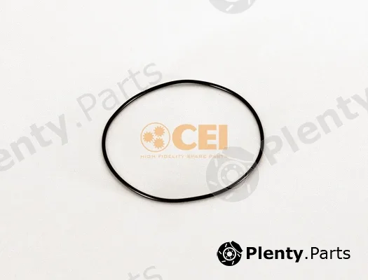 C.E.I. 239.116 — Seal Ring