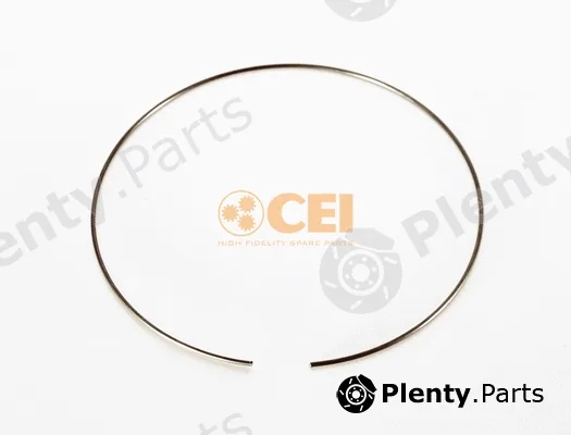 C.E.I. 111.198 — Circlip