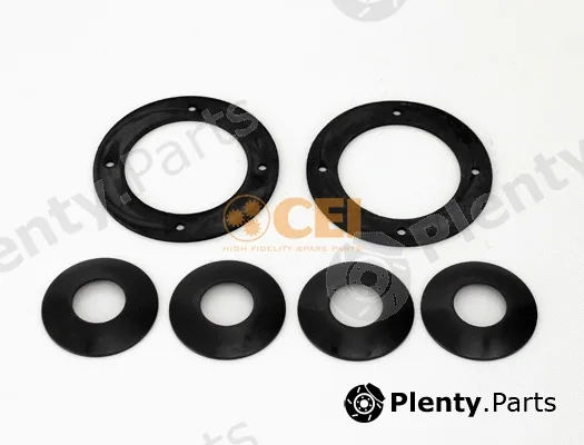 C.E.I. 298.205 — Repair Kit, differential