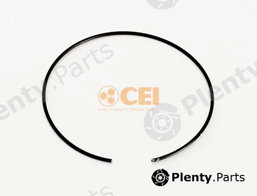 C.E.I. 111.275 — Circlip