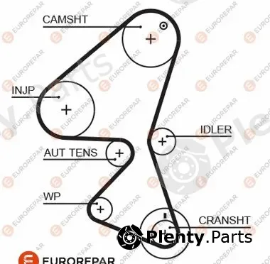 Eurorepar 1633144080 — Timing Belt
