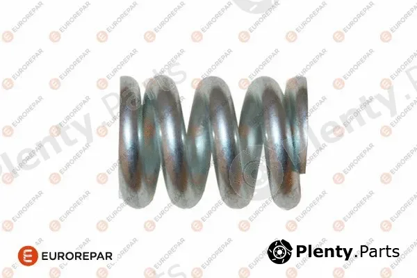 Eurorepar E128E29 — Spring, exhaust pipe