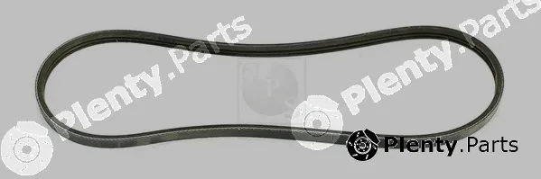 NPS H111A53 — V-Ribbed Belt