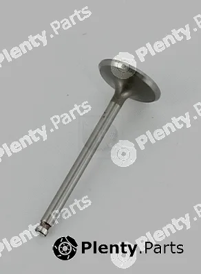 NPS N920N03 — Intake Valve