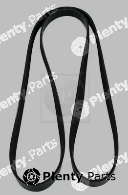 NPS D111O02 — V-Ribbed Belt