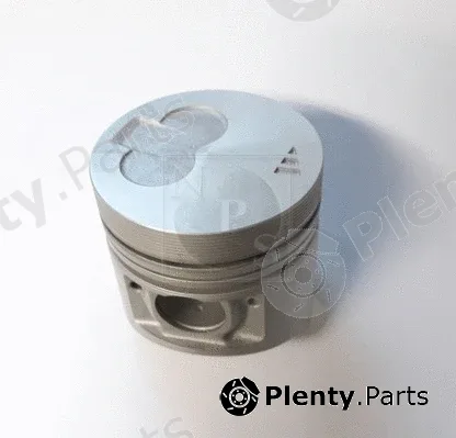 NPS M901I24 — Piston
