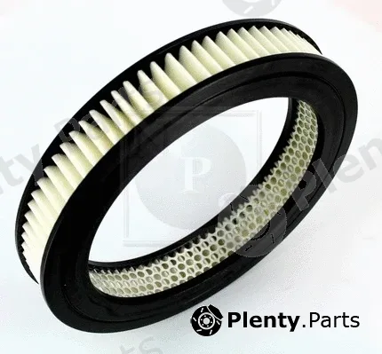 NPS S132I05 — Air Filter