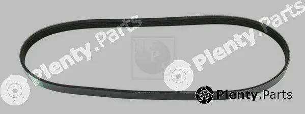 NPS M111I19 — V-Ribbed Belt