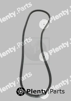 NPS I111U13 — V-Ribbed Belt