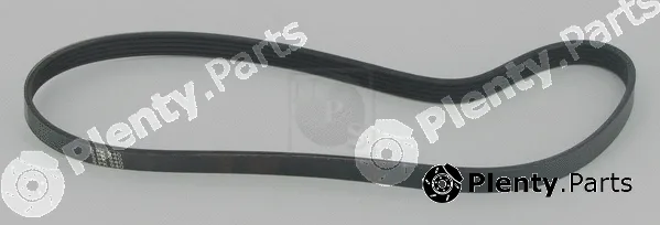 NPS T111A20 — V-Ribbed Belt