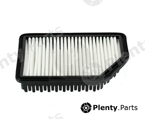 NPS H132I48 — Air Filter
