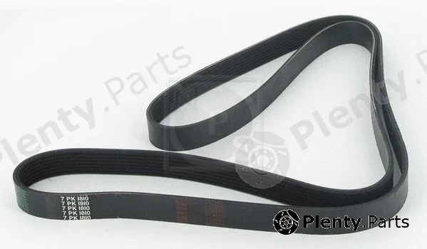 NPS T111A52 — V-Ribbed Belt