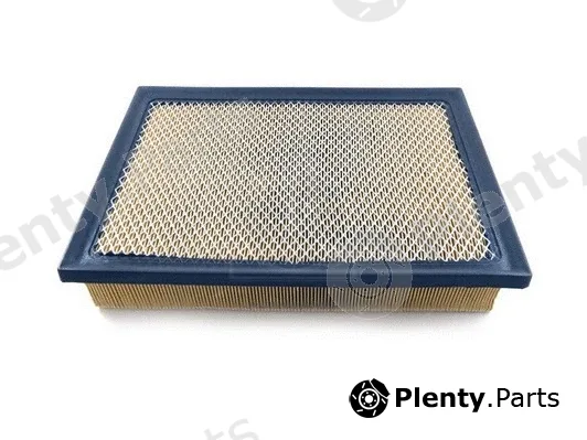 NPS T132A133 — Air Filter