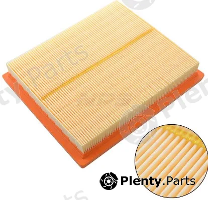 NPS T132A142 — Air Filter