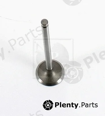 NPS T920A54 — Intake Valve