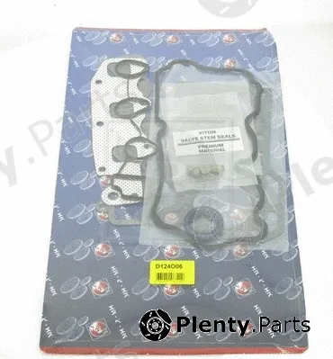 NPS D124O06 — Gasket Kit, cylinder head