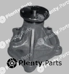 NPS M151I00 — Water Pump, engine cooling