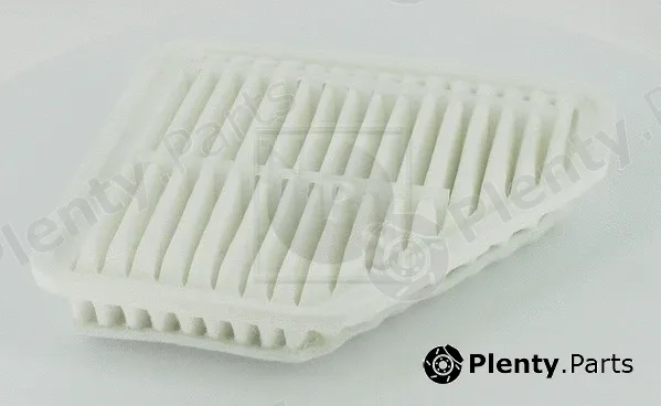 NPS T132A117 — Air Filter
