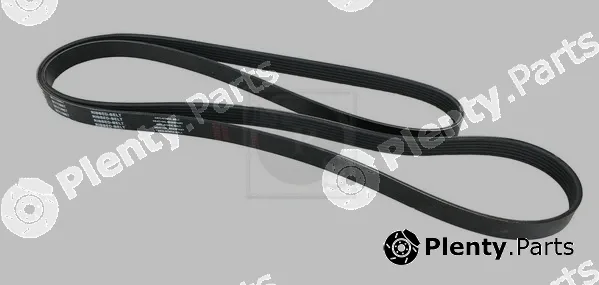NPS N111N67 — V-Ribbed Belt