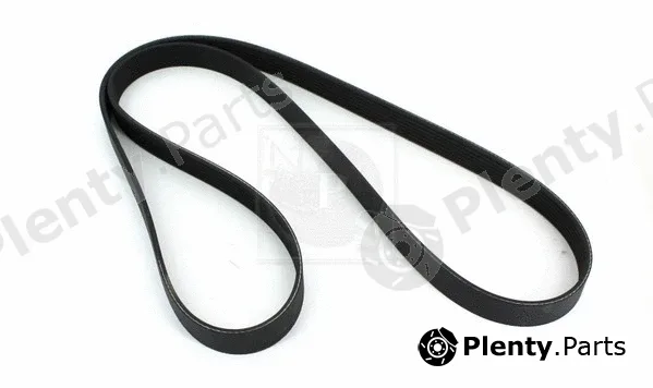 NPS N111N72 — V-Ribbed Belt