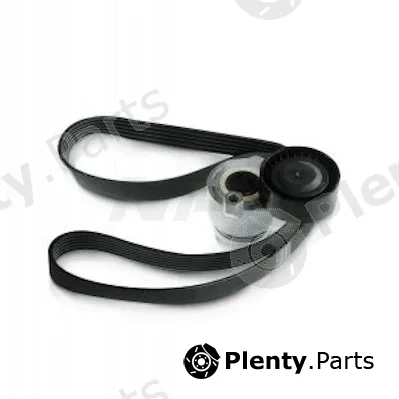NPS R108T13 — V-Ribbed Belt Set