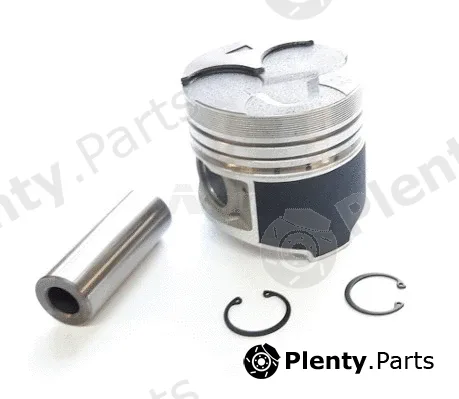 NPS M901I01NB — Piston