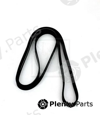 NPS H111I24 — V-Ribbed Belt