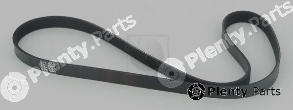 NPS T111A50 — V-Ribbed Belt