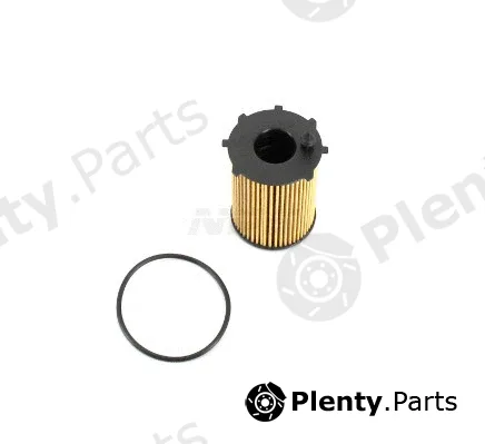 NPS F131T01 — Oil Filter