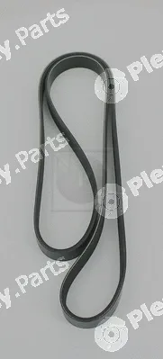 NPS T111A56 — V-Ribbed Belt