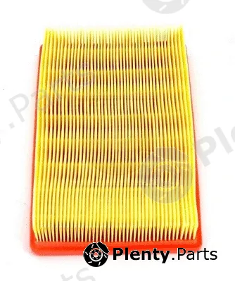 NPS S132I34 — Air Filter