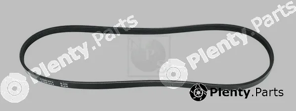 NPS H111A36 — V-Ribbed Belt