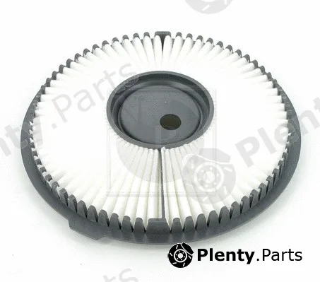 NPS M132I21 — Air Filter