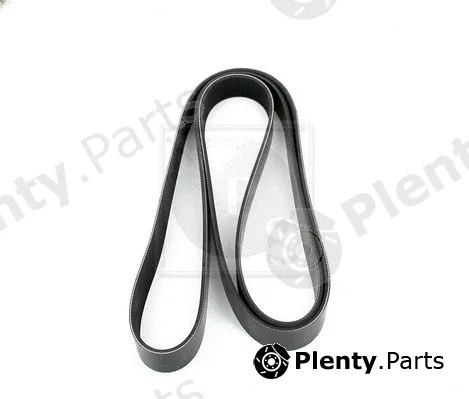 NPS T111A82 — V-Ribbed Belt
