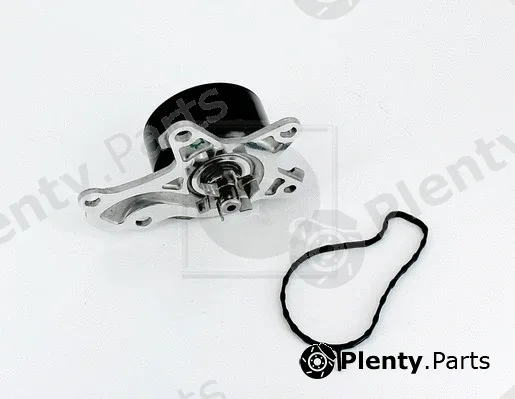 NPS T151A117 — Water Pump, engine cooling