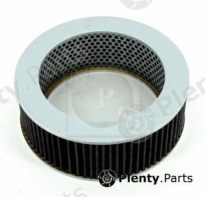 NPS M132I11 — Air Filter