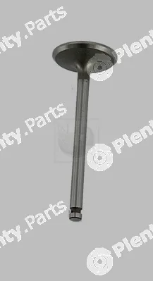 NPS N920N04 — Intake Valve