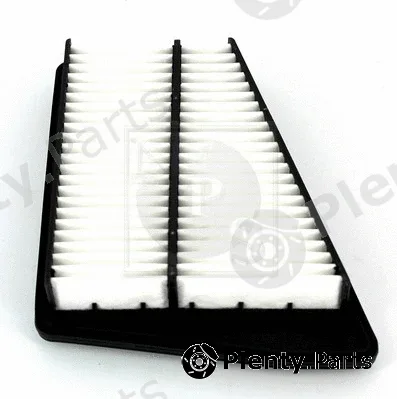 NPS D132U21 — Air Filter