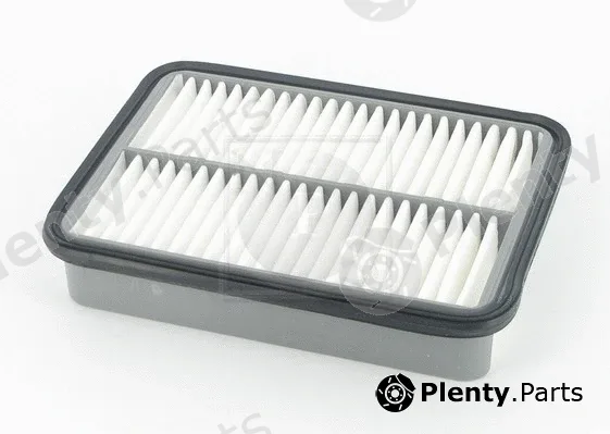 NPS T132A55 — Air Filter