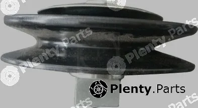 NPS M110I06 — Tensioner Pulley, V-ribbed belt