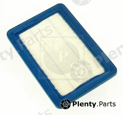 NPS H132I09 — Air Filter