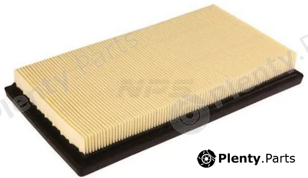 NPS T132A138 — Air Filter