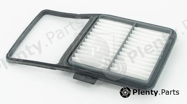 NPS T132A104 — Air Filter