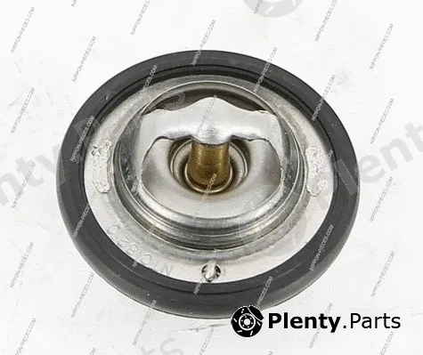 NPS D153O05 — Thermostat, coolant