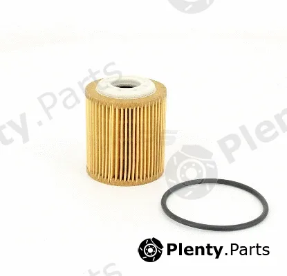 NPS T131A28 — Oil Filter