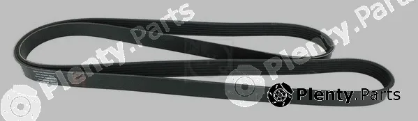 NPS N111N62 — V-Ribbed Belt
